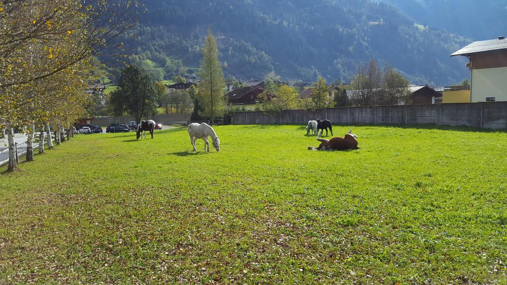 Haus Habetseder Apartamento Dorfgastein Exterior foto