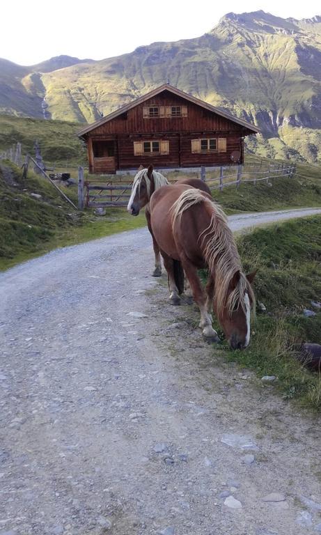 Haus Habetseder Apartamento Dorfgastein Exterior foto